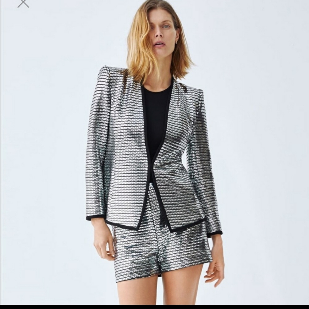 Looking for: Zara Metallic Blazer